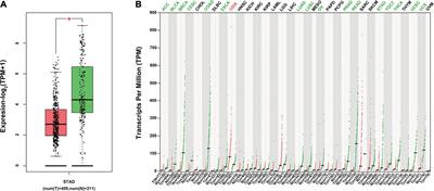 CircITGA7 Suppresses Gastric Cancer Progression Through miR-1471/MTDH Axis